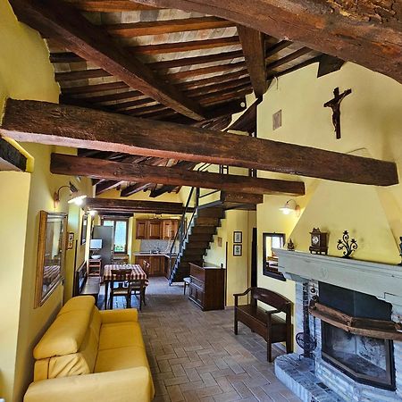 Agriturismo Ca Serrantonio - Ferri Appartamento Rossini أوربانيا المظهر الخارجي الصورة